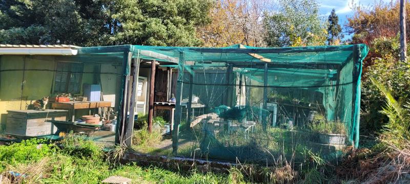 3 Bedroom Property for Sale in Hogsback Eastern Cape